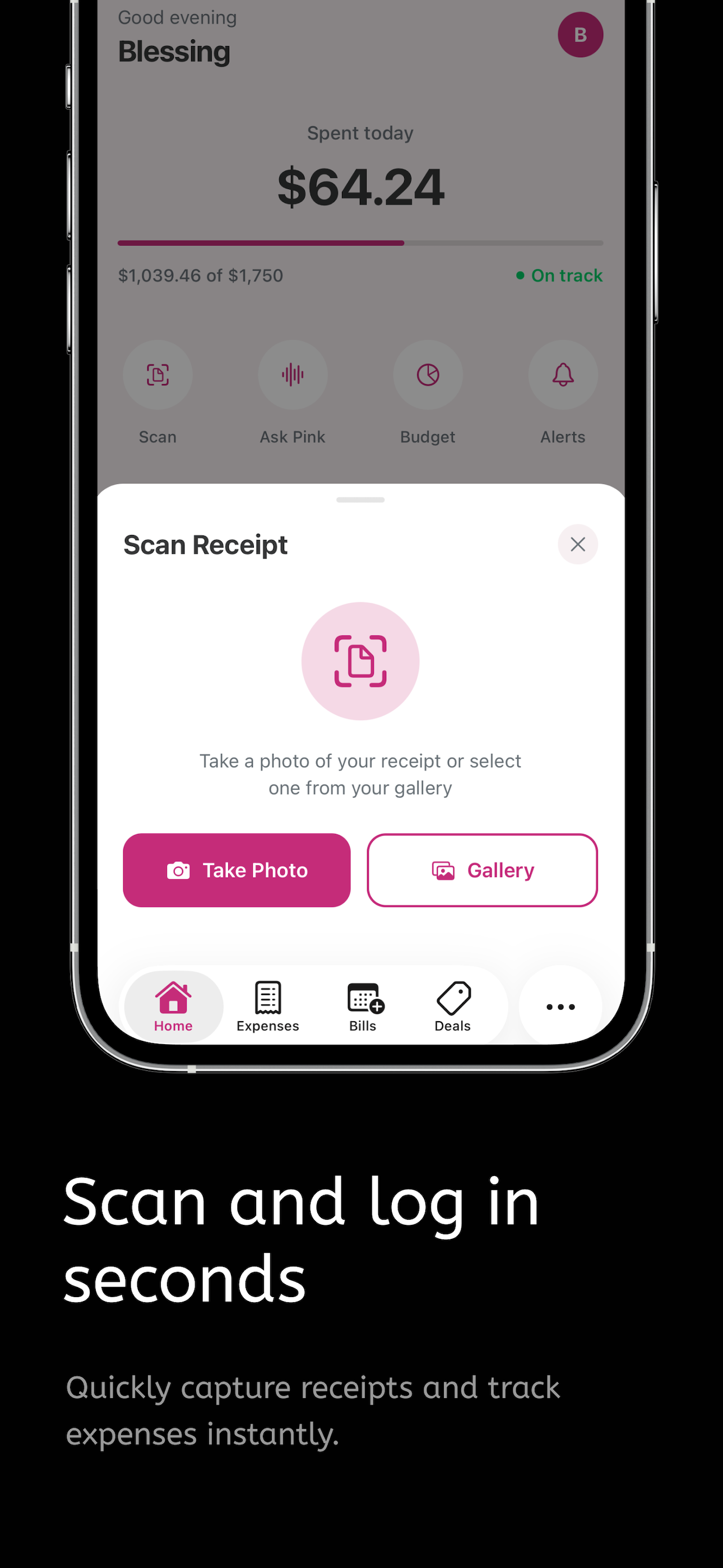 Pink Finance AI