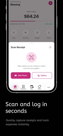 Pink Finance AI iPhone screenshot
