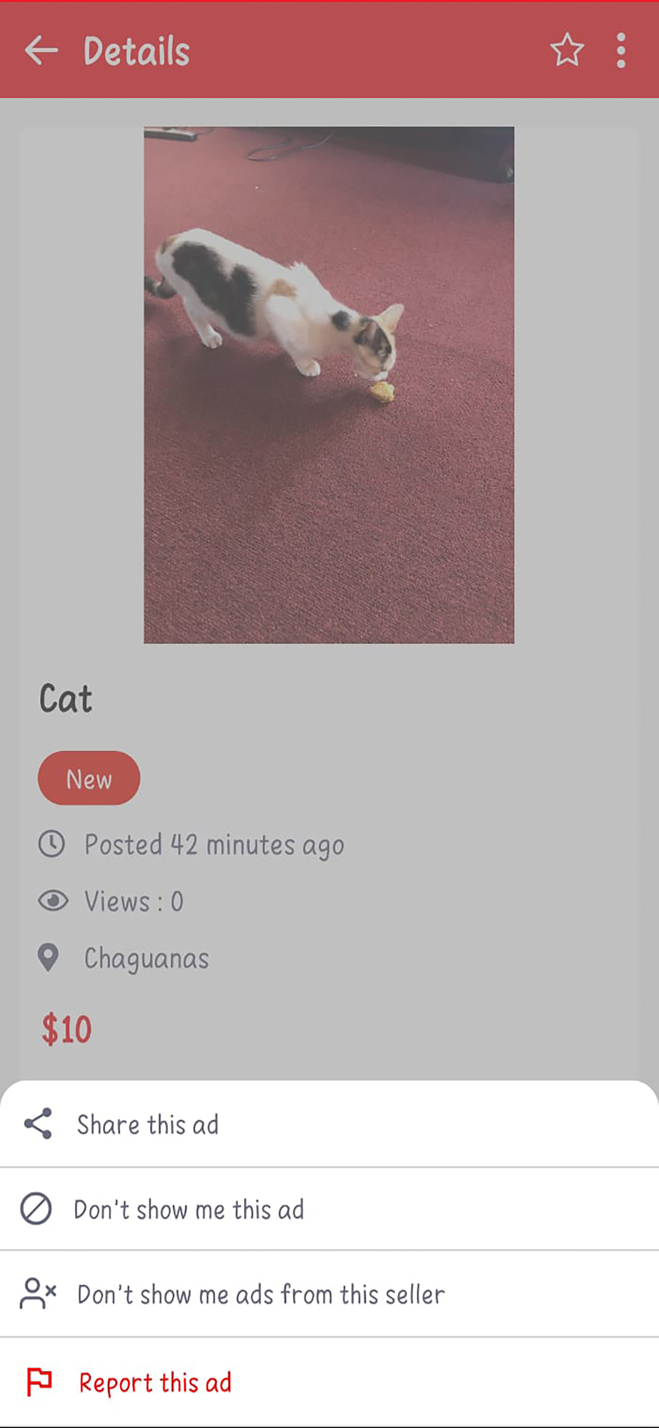 ADS.TT screenshot 9