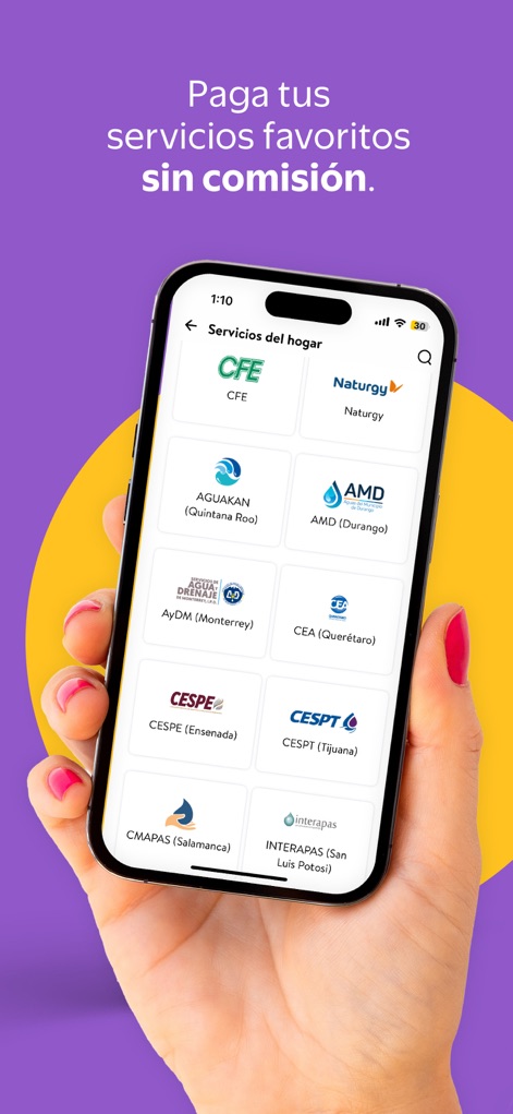 Cashi - La sección de "Servicios del hogar" organiza visualmente proveedores como "CFE" y "Naturgy" en tarjetas individuales, simplificando la selección y el pago de múltiples servicios.