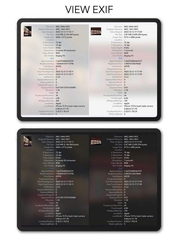 Screenshot #4 for TwinViewer