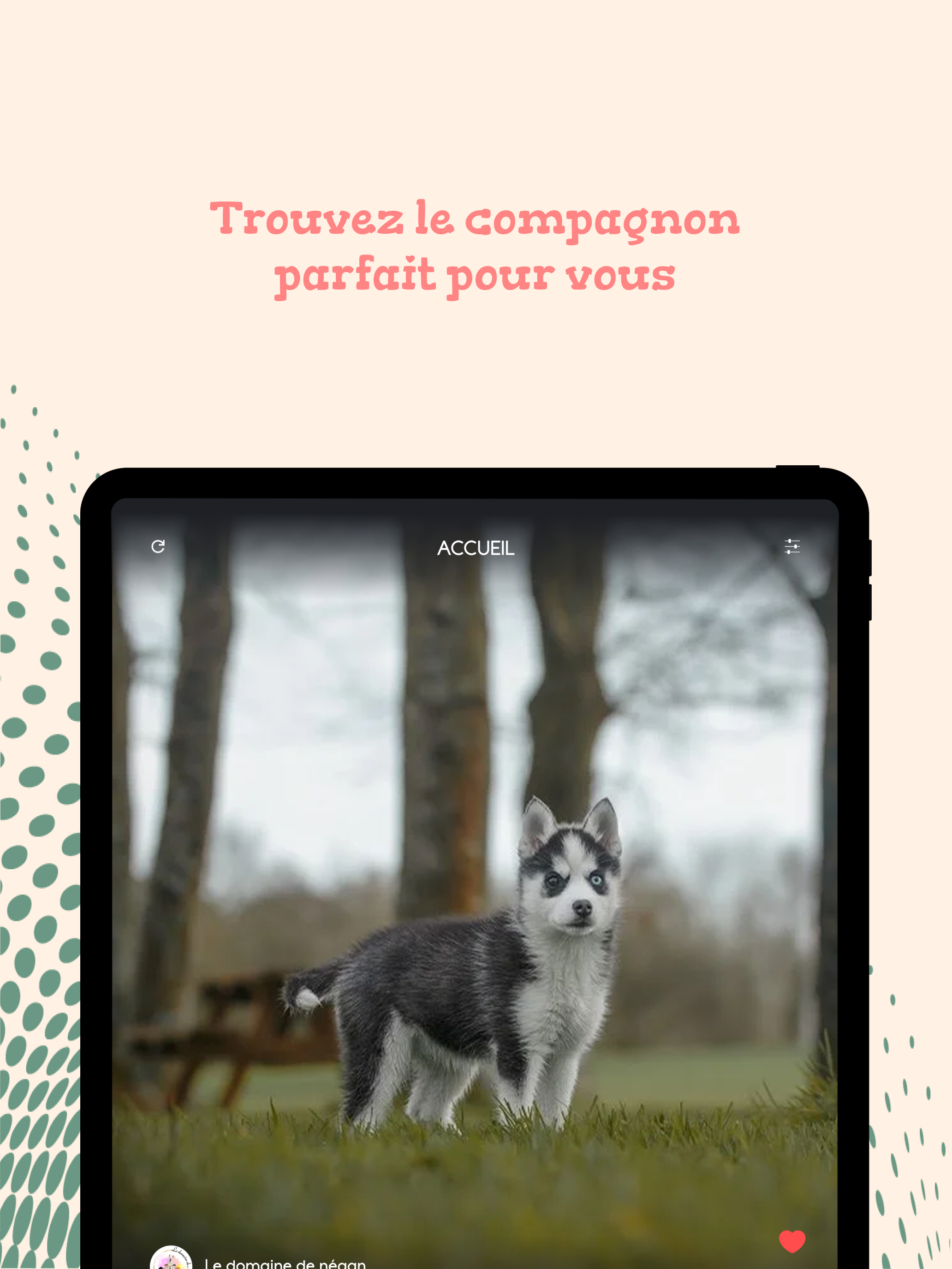 PetsMatch screenshot 6