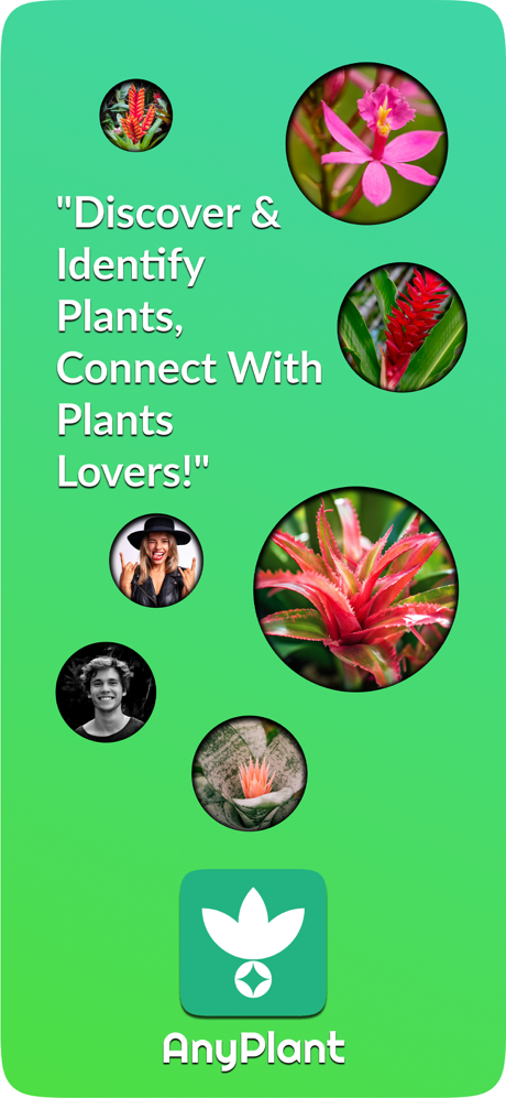 AnyPlant: AI Plant ID & Chat screenshot 1
