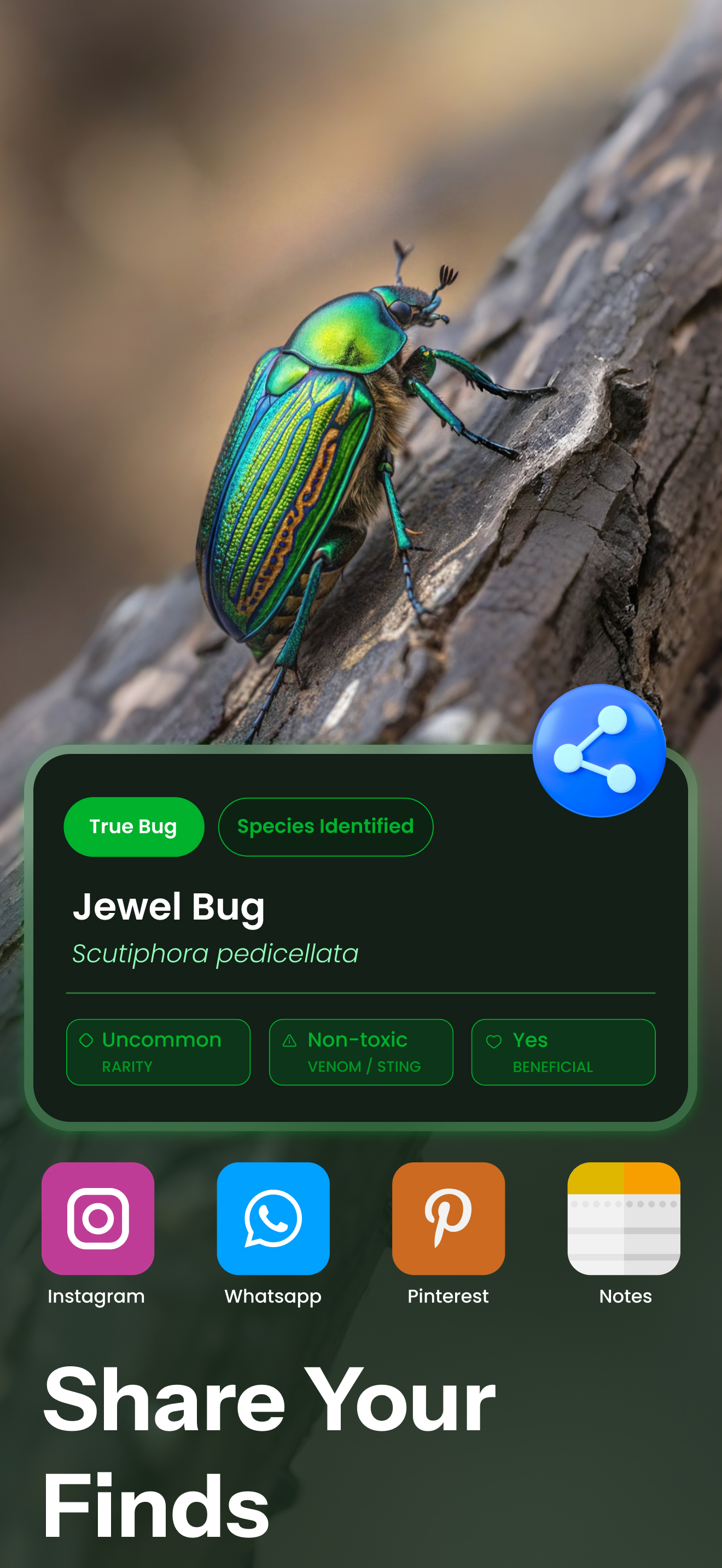 Bug Identifier- Scan Insect ID screenshot 10