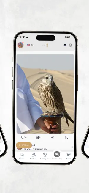 Qarnas | قرناس screenshot 3