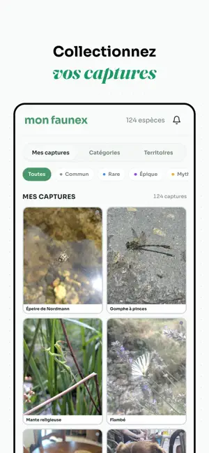 Faunex screenshot 4