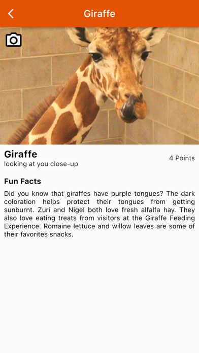 Photo Fun Safari Green Bay Zoo Screenshot