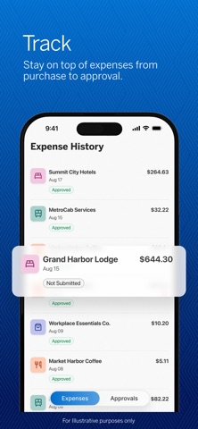 Amex Expense screenshot