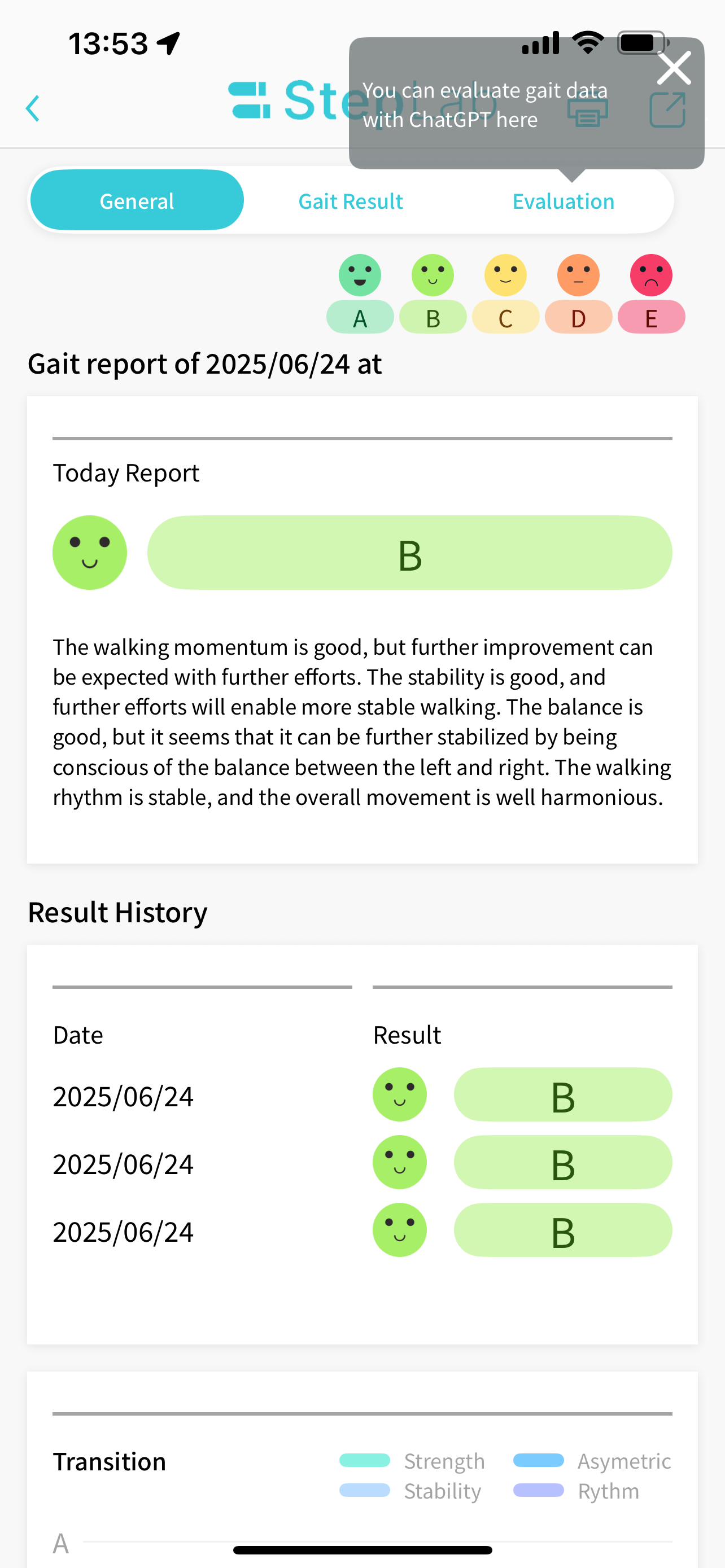Gait Analyzer - StepLab