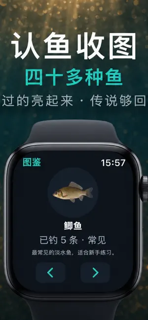 疯狂钓鱼-for watch screenshot 2