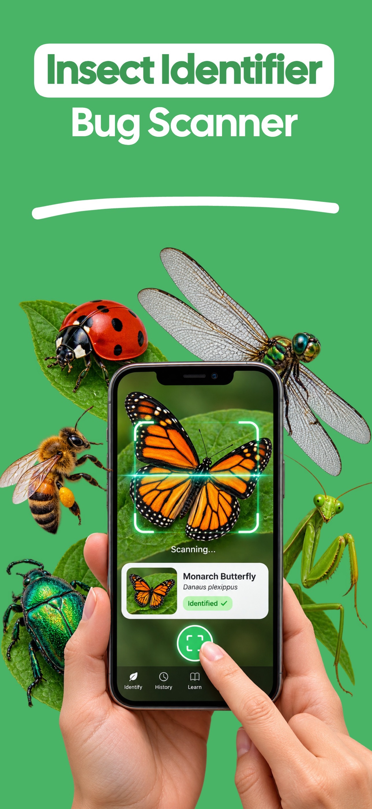 Screenshot 1 of Insect Identifier uk-Butterfly