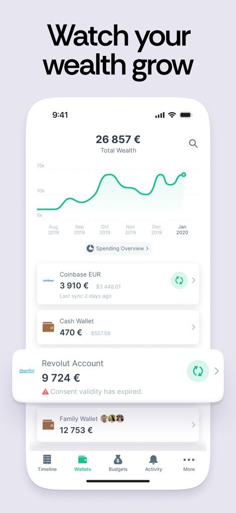 Expense & Budget App: Spendee - Dieser Screenshot visualisiert die Entwicklung des Gesamtvermögens über die Zeit in einem aussagekräftigen Liniendiagramm und listet alle verknüpften Konten inklusive ihrer aktuellen Salden auf.