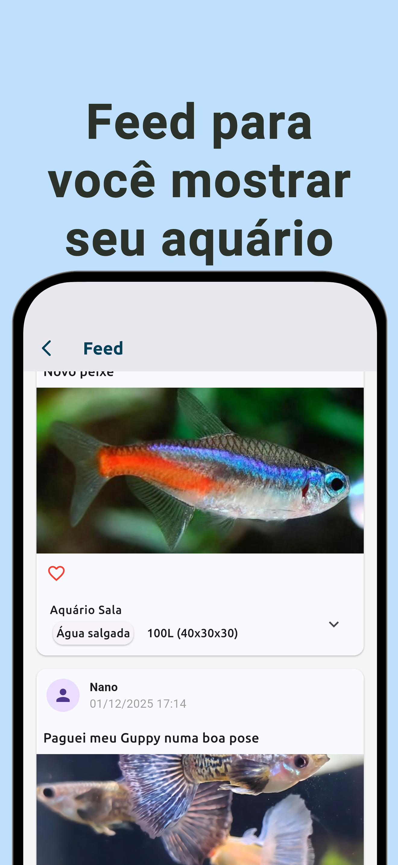 Meu Aquário