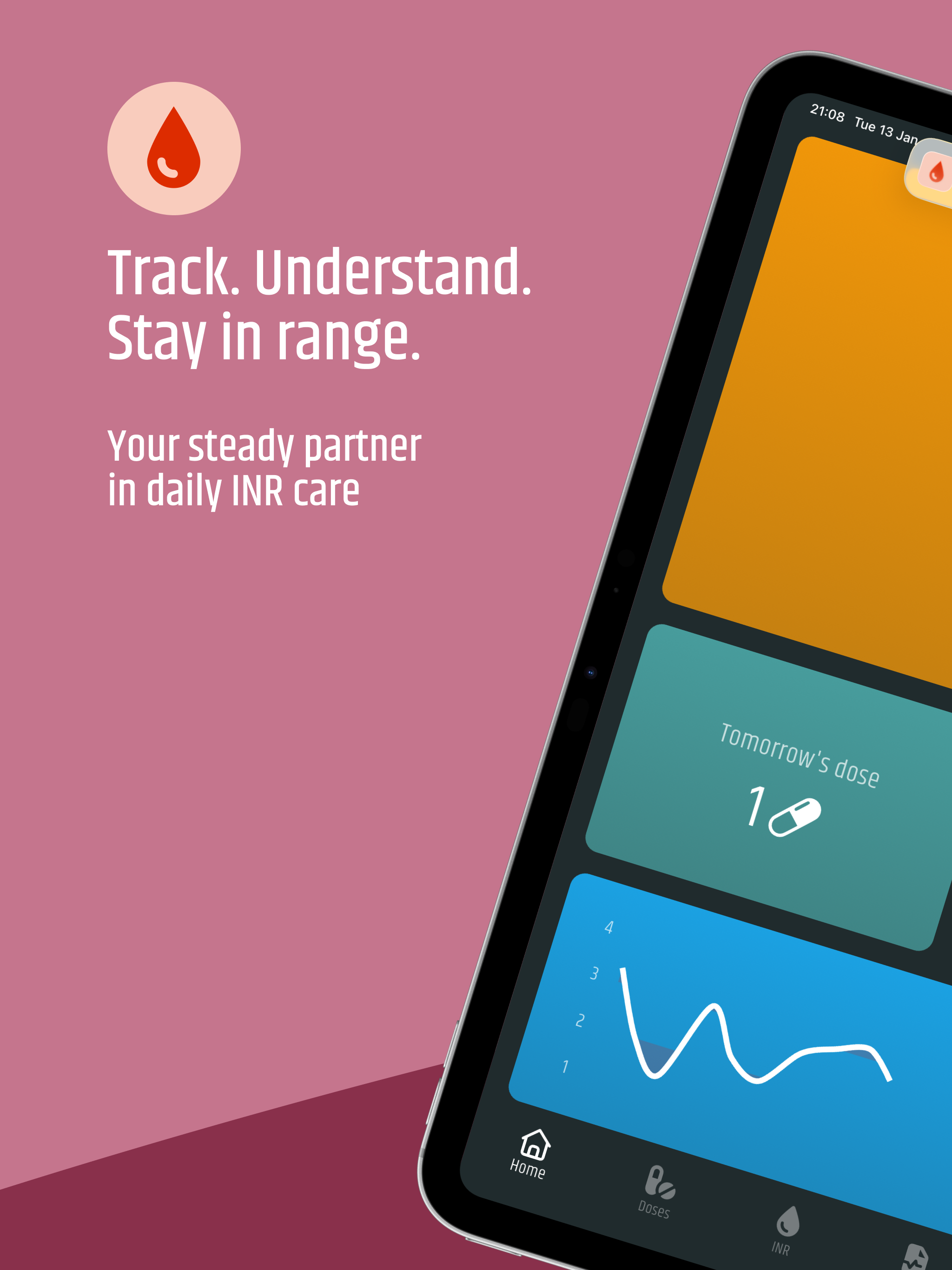 INR Diary screenshot 11