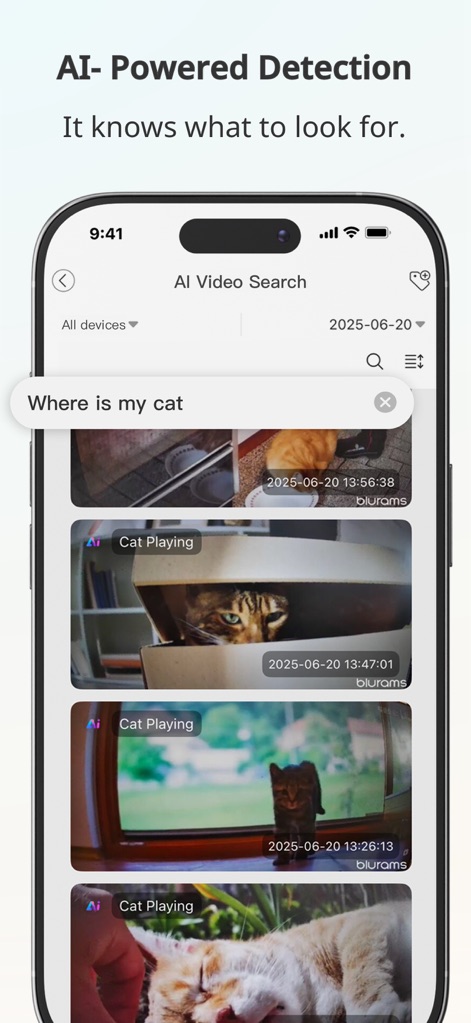 blurams - This powerful feature enables users to perform 'AI Video Search' for specific objects or events, instantly retrieving relevant clips such as instances of a 'Cat Playing' from recorded footage.