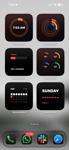 Finite Life : Calendar Widgets Screenshot 10 of 10