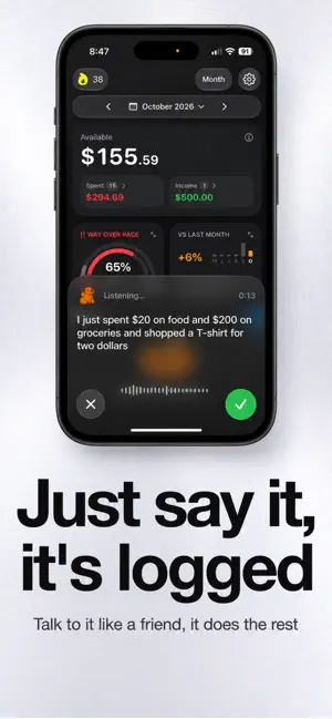 BudgetIQ - Budget Tracker screenshot 2