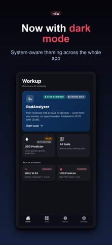 Workup by RadAnalyzer Screenshot 10 of 10
