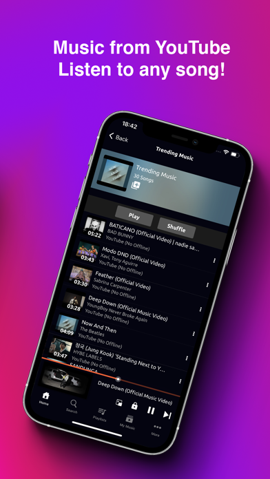 Music Downloader / MP3 Player Screenshot