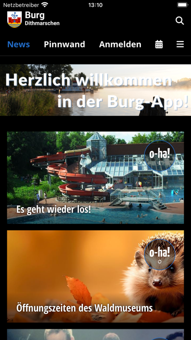 Burg Dithmarschen Screenshot