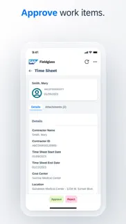 sap fieldglass manager hub iphone capturas de pantalla 2