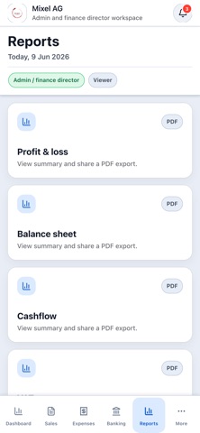 Mixel Accounting screenshot 3