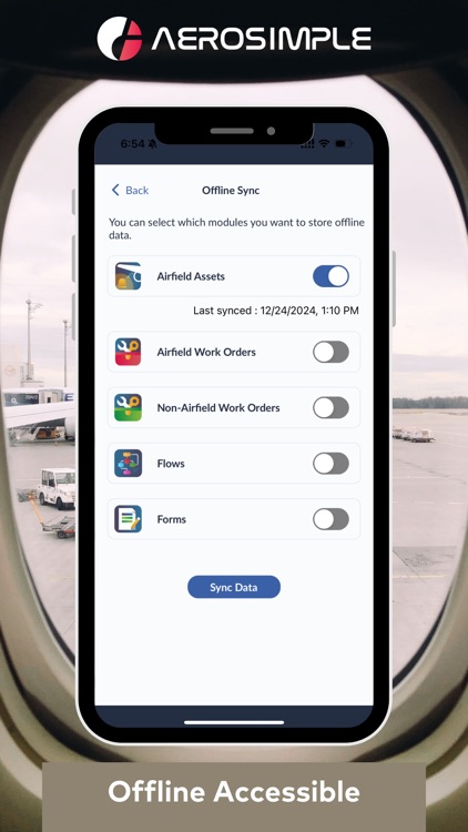 Aerosimple screenshot-3