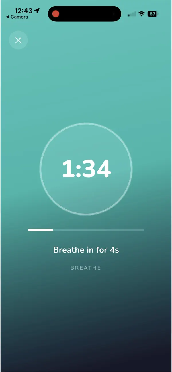 Screenshot #3 pour HabitGap