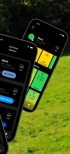 Blanket & Riding - Hot Horse screenshot 2