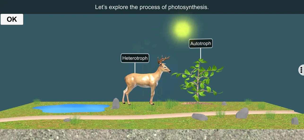 Screenshot #2 pour Photosynthesis by EduTech Era