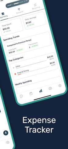 Expense Tracker - Cash Chat screenshot