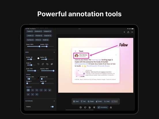 iScreen Screenshot: NexSnap iPad screenshot 5 - Graphics & Design app