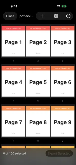 Split & Merge PDF screenshot 1
