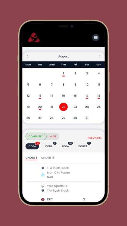 Copa Series screenshot-3