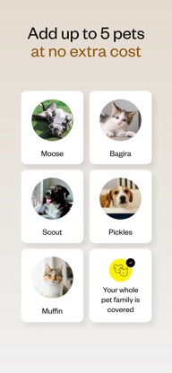Dutch Vet - Online vet 24/7 screenshot 5