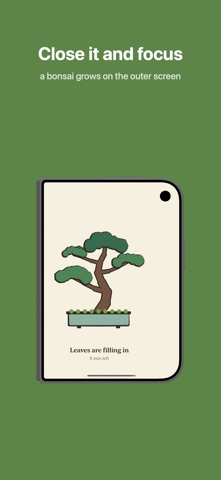 Duo Bonsai - Close to Grow Screenshot 1 of 6