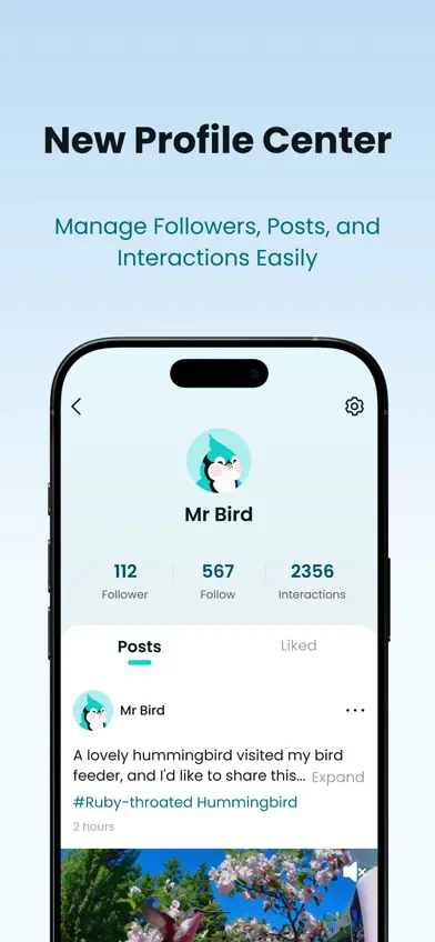 Birdfy screenshot 5
