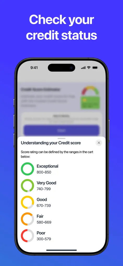 Credit Score Monitoring - Finance App | MWM