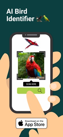 Bird Identifier AI – Birdpicx Screenshot 1 of 8