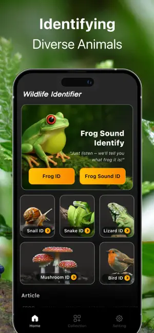 Frog Identifier Frog Sound ID screenshot 3