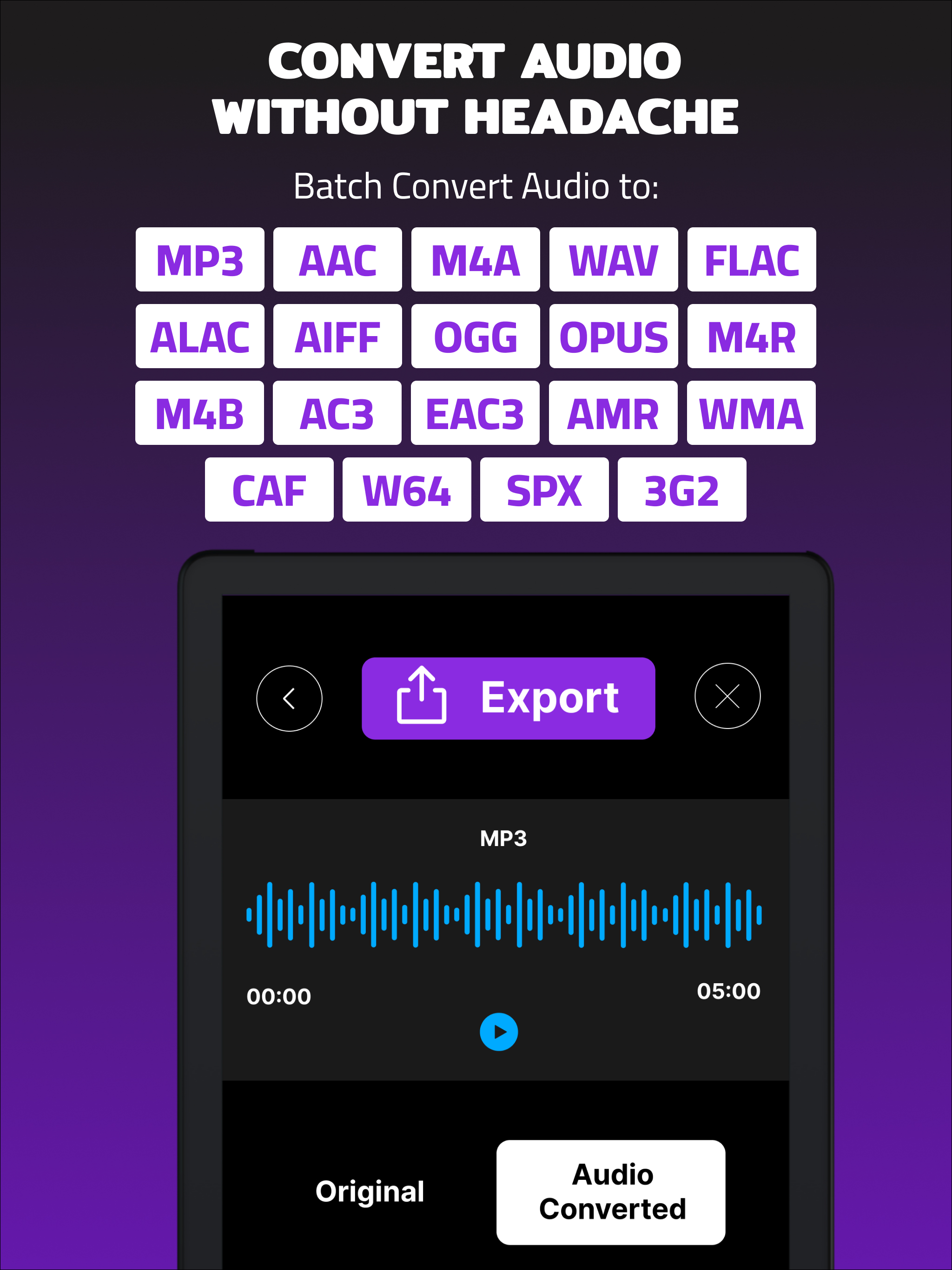 Audio Converter:Bulk Extractor