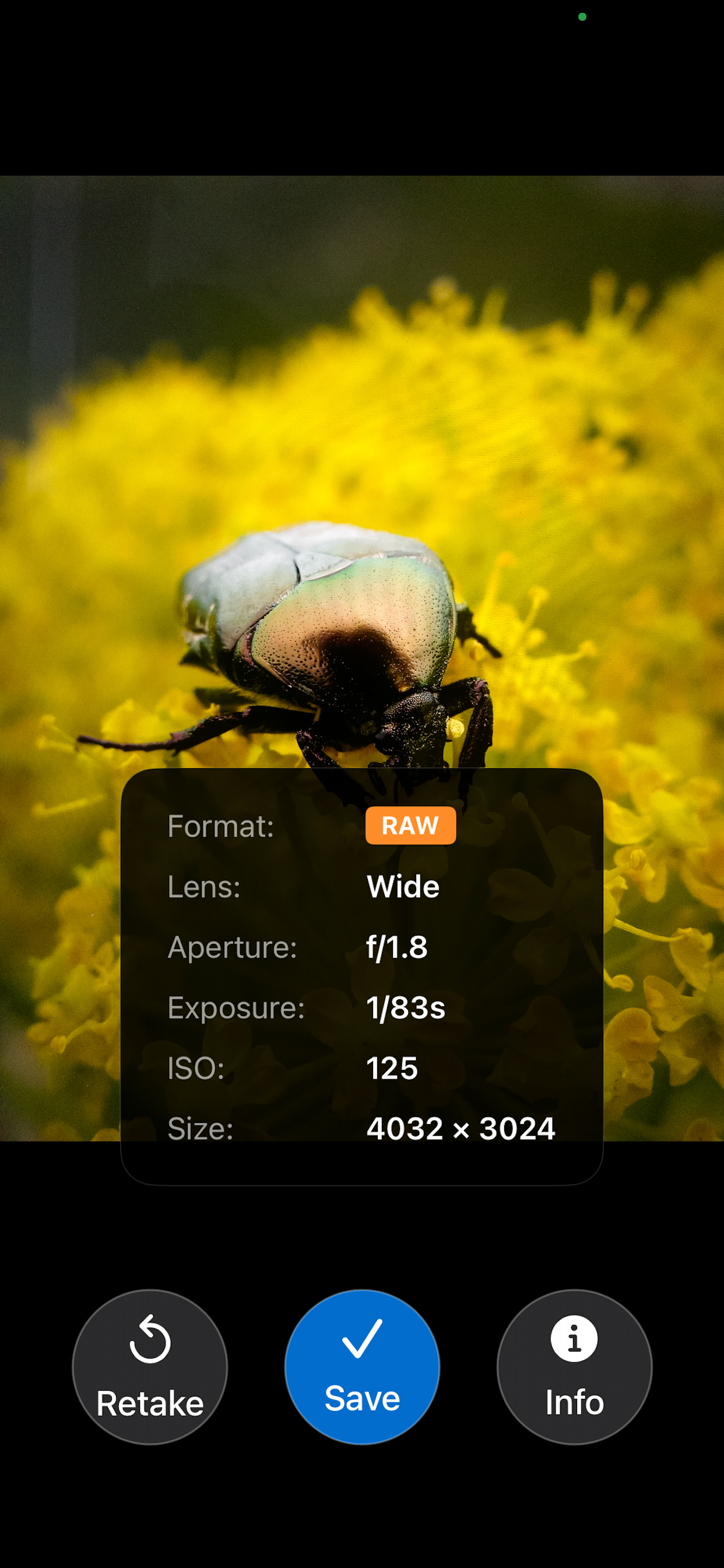 Raw Photo Capture