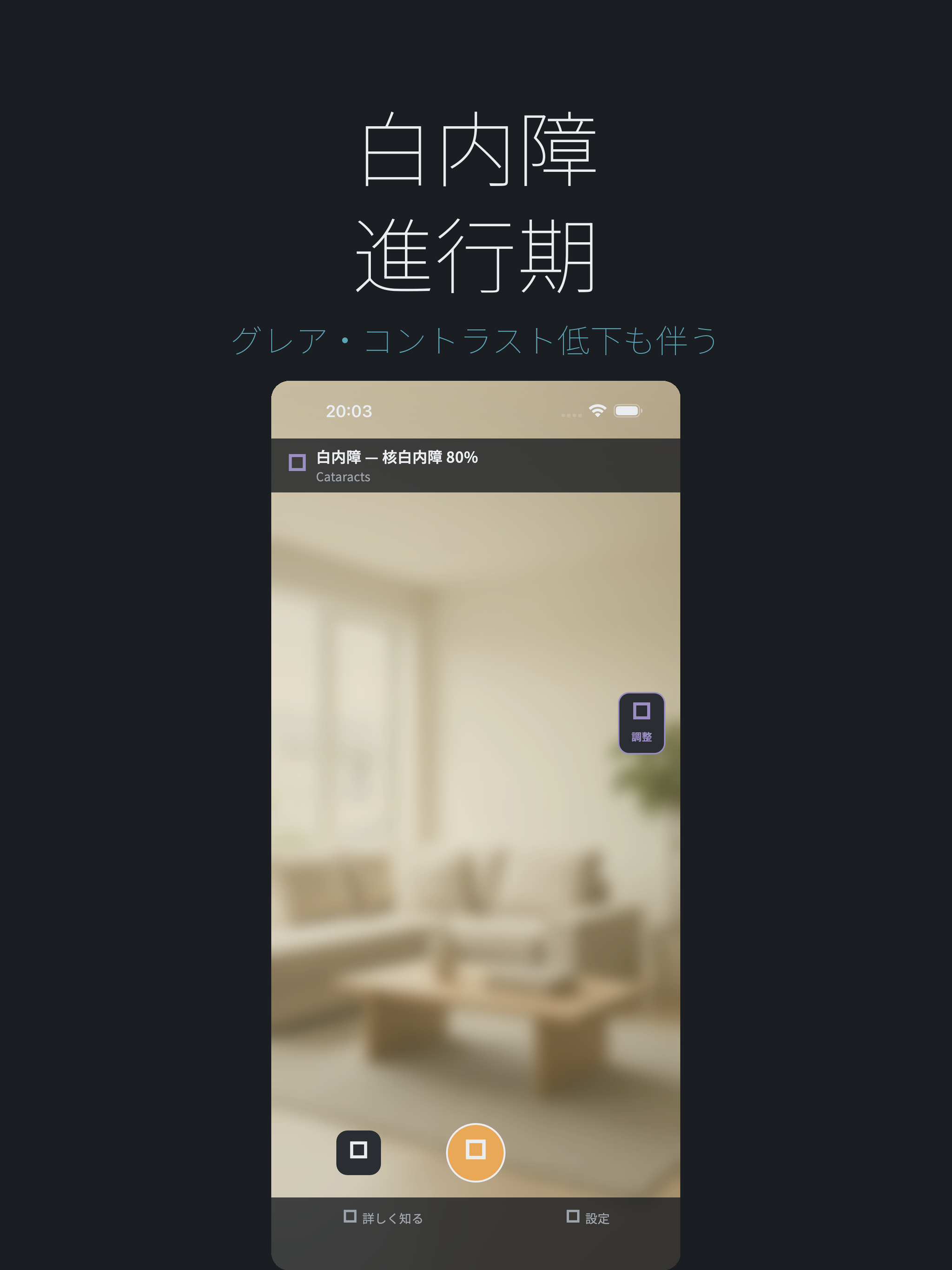 視界体験 - 視覚障害シミュレーター