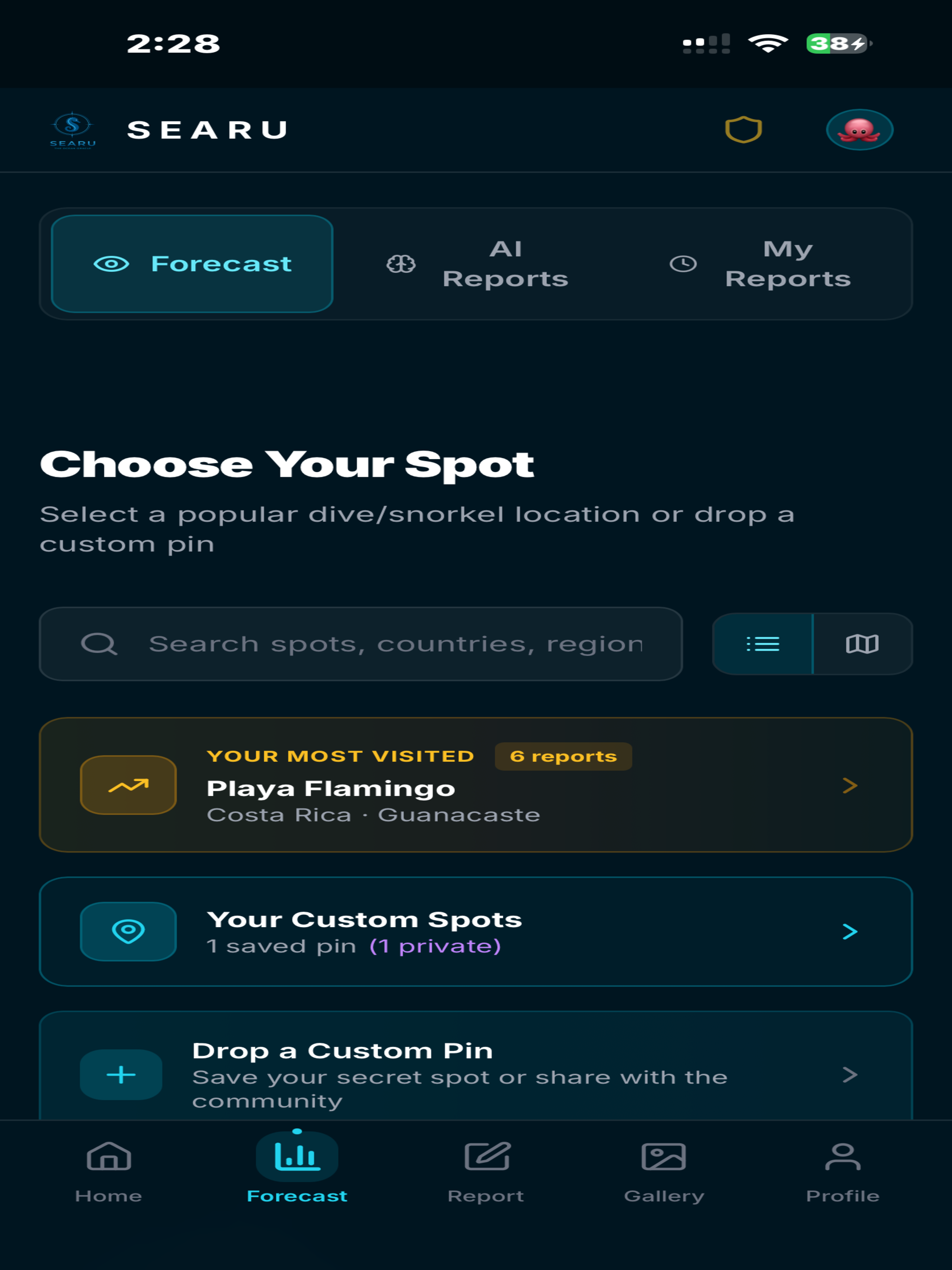 Searu.io screenshot 5