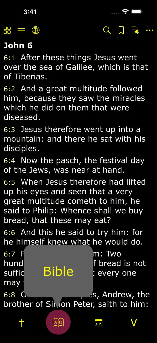 #2. iPieta (iOS) Door: iVerbum