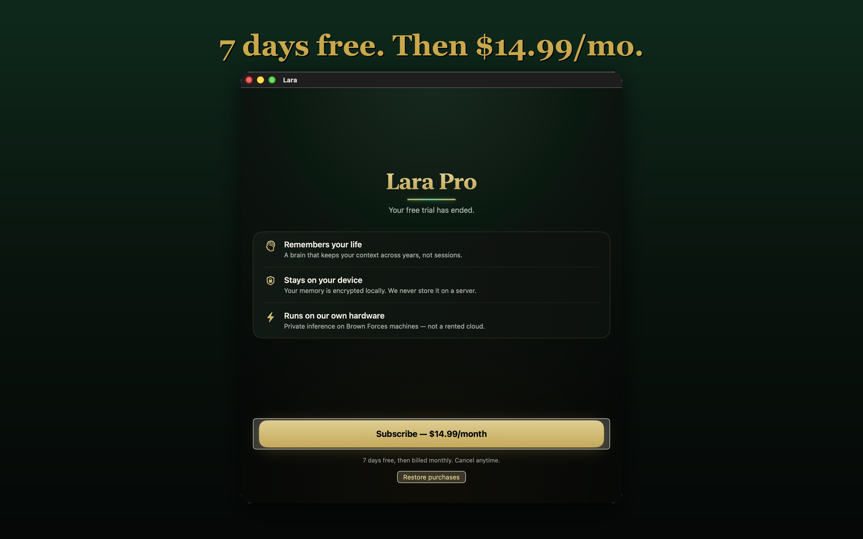 Lara: AI that Remembers screenshot 6