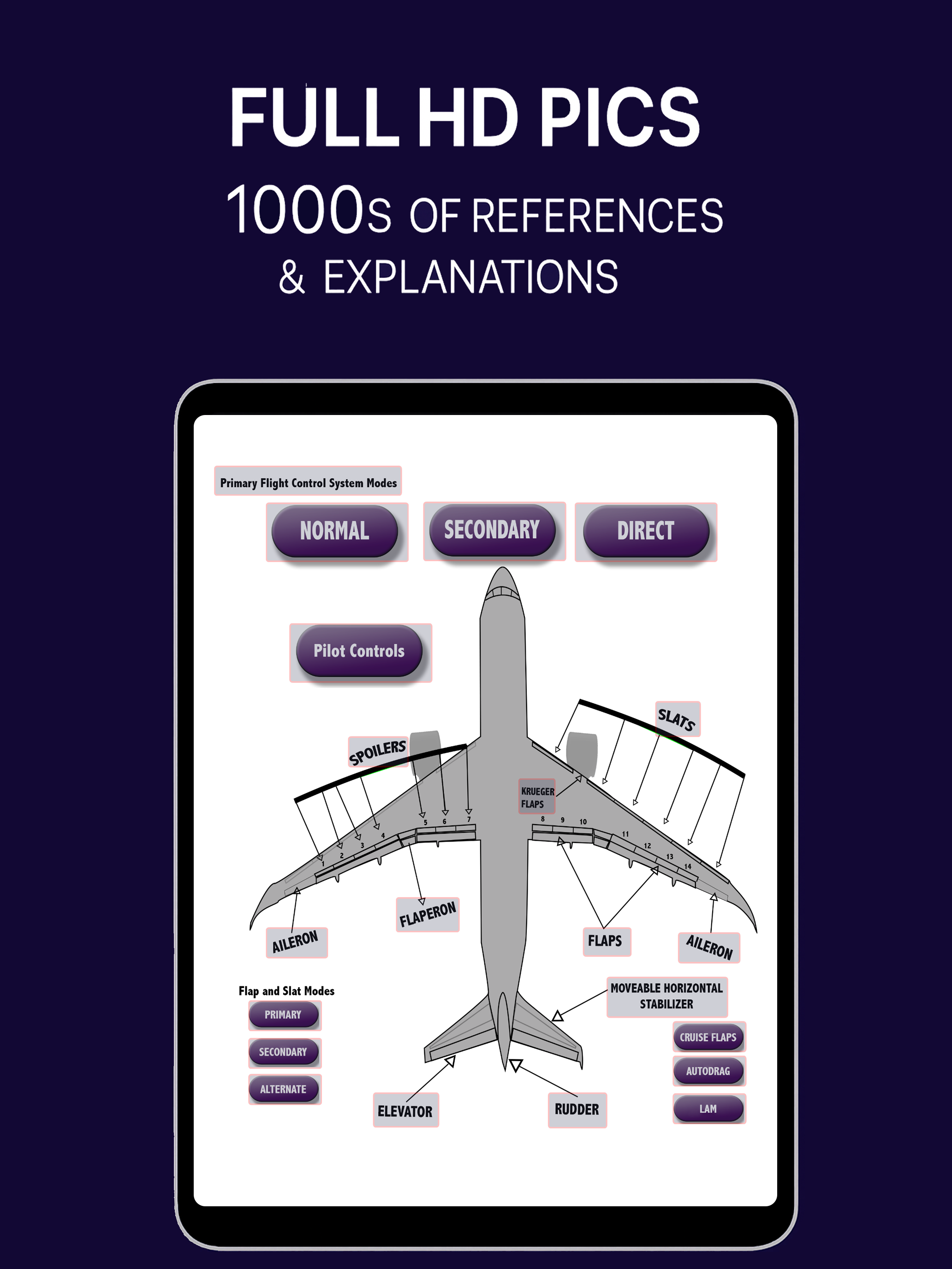 Boeing 787 Virtual Panel