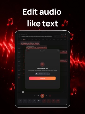 MP3 Converter + Audio Editor iPad screenshot