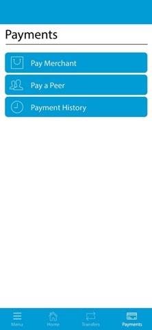 1st National Bank screenshot