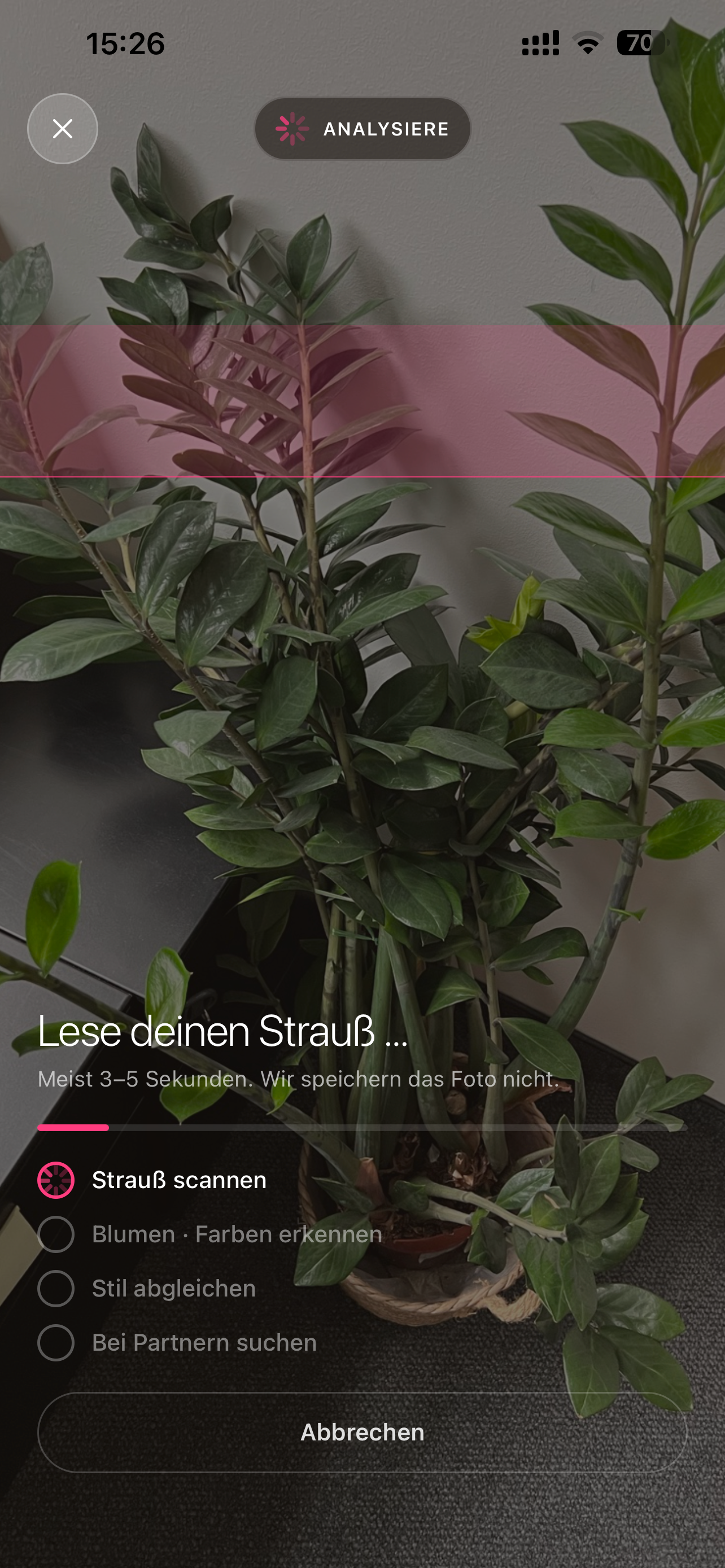 Blumee — Blumen per Foto screenshot 7